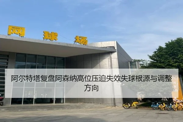 a-er-te-ta-fu-pan-a-sen-na-gao-wei-ya-po-shi-xiao-shi-qiu-gen-yuan-yu-tiao-zheng-fang-xiang-3-293.jpg