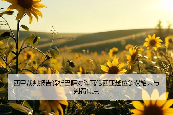 西甲裁判报告解析巴萨对阵瓦伦西亚越位争议始末与判罚焦点
